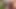 Hd video 4k - seni seviyorum