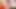 minyon penny pax &amp; lezbiyen sevgilisi abigail mac yemek ıslak pussies