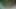 Yağlı grup seks sürtükler havuzda grup sekste genişliyor