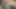 Olgun Ve Azgyn MILF Islak Vajinasını Oynuyor