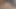 Harley Haze'in eşyalarını toplarken yardıma ihtiyacı var. scott çivi onun horoz sürmekse yardım etmeye istekli - mofos