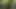 Fuck and Suck BIG Tits Stranger in Woods