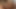 Nikki Benz, Tyler Faith ve Vanessa Lane, üç ateşli kız birbirlerinin amlarını yalıyor