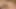 Tgirl barbara perez trans sevgilisi bella atrix'i sikiyor