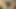 amatör sürtük ev yapımı porno 466