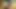 Chloe moretz - ani saldırı fotoğraf çekimi