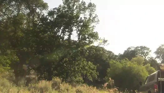 Lauren ve koca ormana gidiyor ve şiddetle sikişiyor