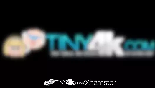 4k tiny4k - küçük havai fişek trinity olabilir kedi becerdin alır