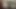 Edepsiz yaşlı öğretmen muhteşem esmer bir öğrenciyi sikiyor