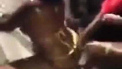 Pour un Nicolas feuillate