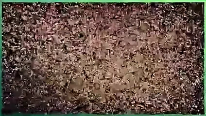 Cumshot derleme lucy lee