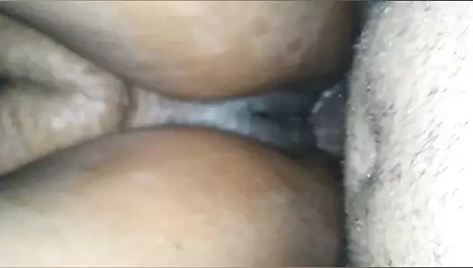 Islak siyah kedi oyuncak üzerinde the çük