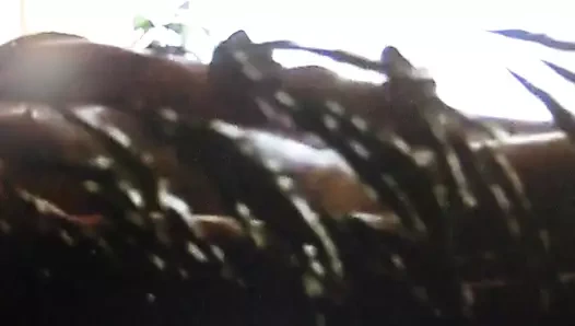 Claudia wichst meinen Schwanz