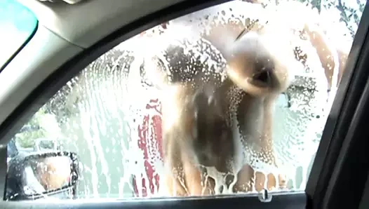 Ateşli Latinler 4 - bölüm 3