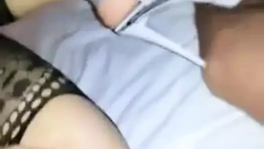 Candicox şaşkın gevşek kedi