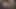 Orta yaşlı seksi kadın kaygan yarak emiyor