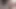 German fat hairy black pussy closeups