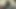 Zenci bebek porno röportajında kanepede ıslak amıyla oynuyor