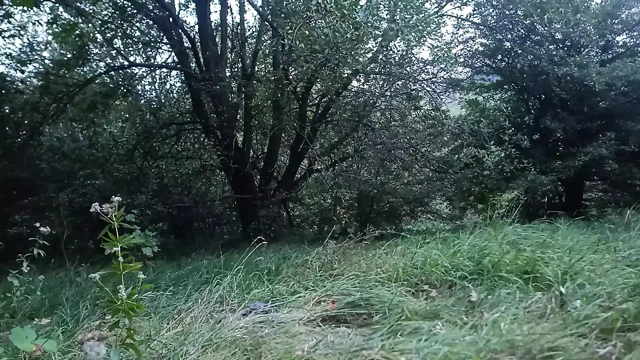 Amatör erkek teşhir ediyor ve mastürbasyon yapıyor