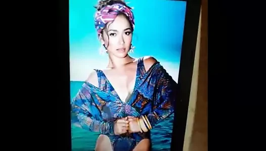 Maja salvador haraç