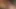 oral seks ve parmak : 3d porno