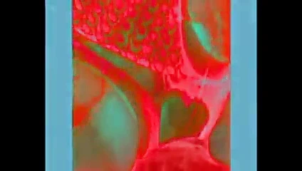 Toymaxxx4u - sürüm6