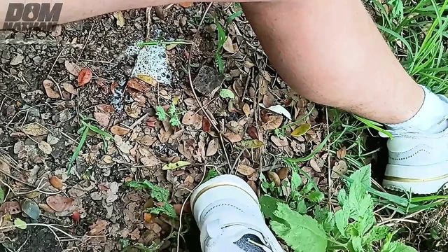 Master David tarafından Meadas Urines Derlemesi