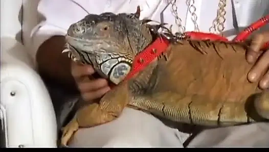 Zar zor yasal hatun amının tadına baktıktan sonra harika bir sakso çekiyor