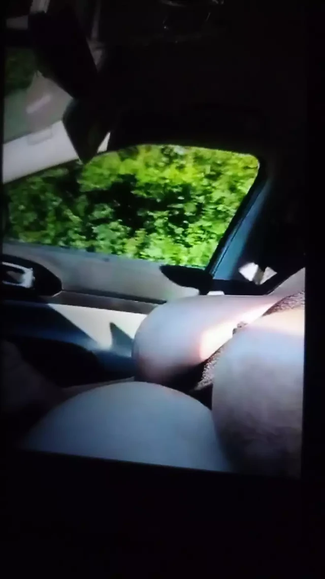 SexyDixie вождение с вытянутыми сиськами