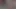 kocanın arkadaşı