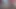 SIMBIAMT, ÇEŞITLI DEV CIVCIVLERIN SIRI ORTAYA ÇIKTI.