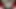 Siyah clover hentai cadı kraliçesi (yapay zeka)