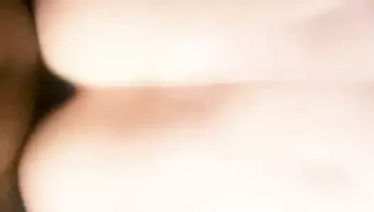 Kalın tesisatçı tavşan gece geç saatlerde atıştırıyor