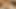 Les masseuse pussylicked and fingered closeup