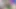 Rujumu senin üzerinde test ediyor