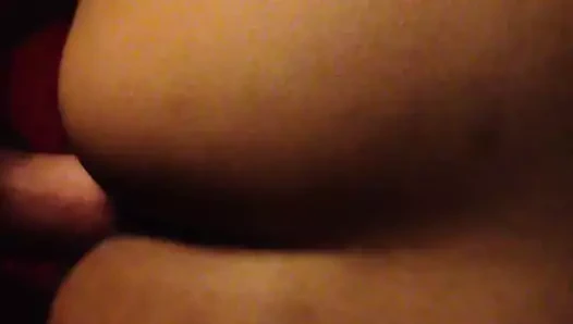 Kamboçyalı yavaş köpek o da gel