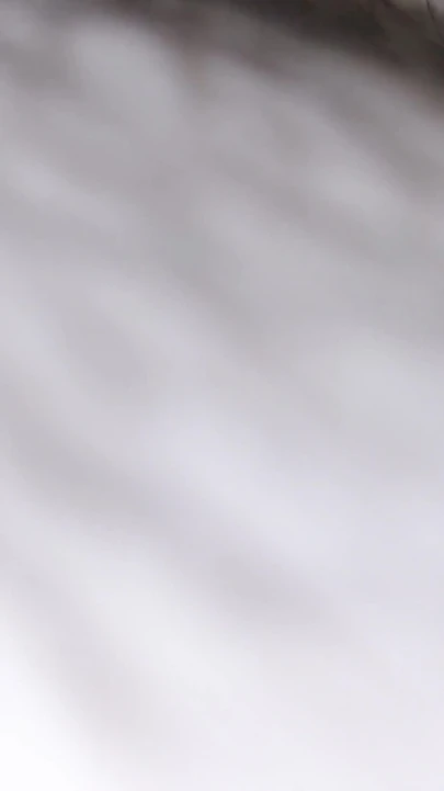 Незабываемый момент из "Родная девушка наполняется сливками и скачет крупным планом"