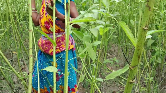 Üvey amcam ormanda amımı sikiyor