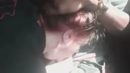 Büyük ganimet çobanpüskülü emme siyah çük