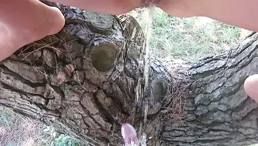 ada bojana-plaj seks