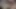 En sevdiği Japon porno yıldızı gibi yarağını emdim