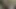 Sevimli hatun sakso çektikten sonra yerde sert sikiliyor
