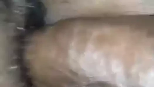 Village aunty sıcak sikme