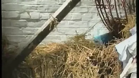Electric Blue 52