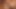 Macar milf mandy parlak-trasgu