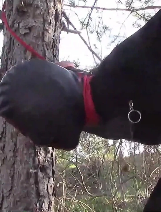 Yüksek topuklu ayakkabılarla 1 saatlik sert sikiş derlemesi, çok fazla çığlık, inleme ve orgazm