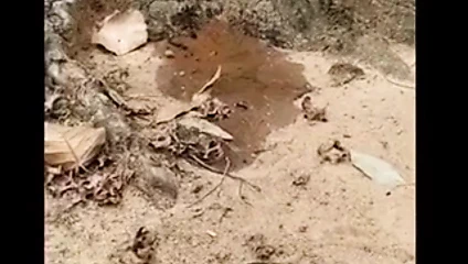 Bugün özel-azgın boudi açık hava eğlencesi