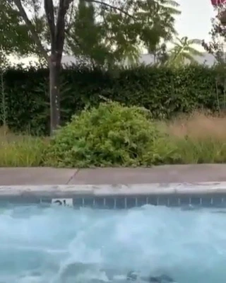 Alexandra Daddario bikinili sıcak