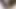 Travesti sürtük fahişe 145