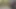 Pnw'de yürüyüş yaparken süt salıyor